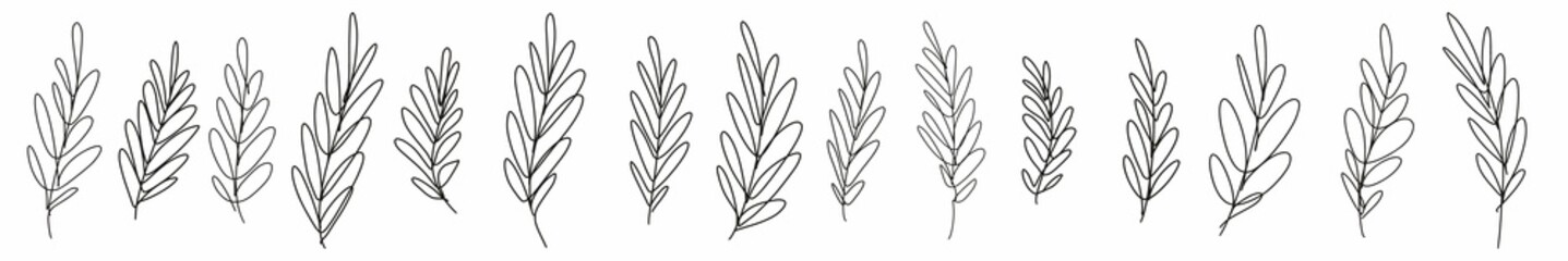 Fototapeta premium Horizontal pattern of branches with leaves, hand-drawn with a thin black line