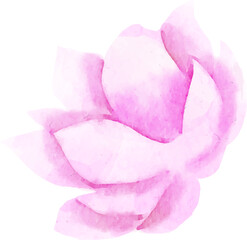 pink lotus flower, watercolor illustration, hand drawing, flora wedding