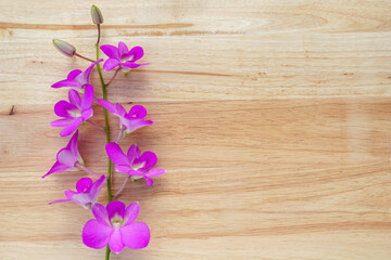 bouquet of purple orchids on wooden table background. Soft and selective focus.