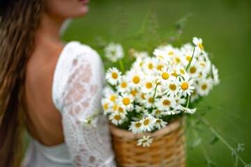 A middle-aged woman holds a large bouquet of daisies in her hands. Wildflowers for congratulations