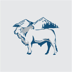 Brahma cow illustration