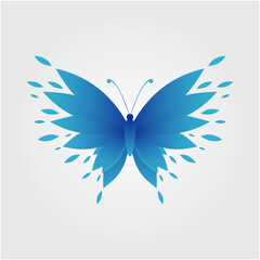 butterfly illustration