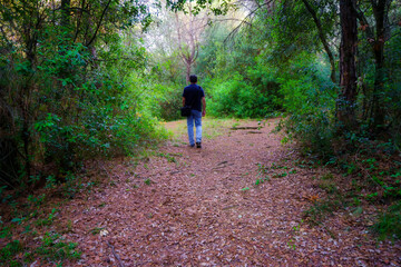 Man walking along a path in the lush forest in a magical and enchanted environment.