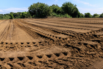畑を耕したトラクターのタイヤ痕
