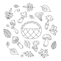 Mushrooms and leaves. Set  ,  vector icons in doodle style. Isolated elements for design, graphic drawings basket, mushrooms, berries, leaves in black outline.