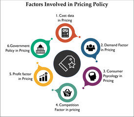 Factors involved in Pricing Policy with Icons in an infographic template. 