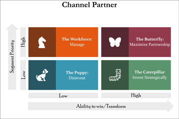Matrix for Channel partner with icons in an Infographic template