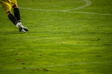 Obraz premium soccer player in action