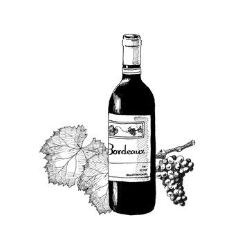 ぶどう イラスト 白黒 Images Browse 76 Stock Photos Vectors And Video Adobe Stock