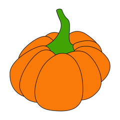 Pumpkin with a black outline. Vector illustration of a hand-drawn pumpkin on a white background. An element for autumn decorative design, an invitation for Halloween.Pumpkin Icon White Background 