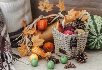 Still life of a large pumpkin, watermelon, baskets with apples and pears, small artificial pumpkins, artificial maple leaves and small green apples, pine cones, acorns and a warm woolen rolled rug.