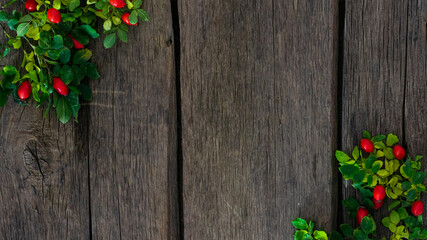 Rosehip berries on wooden rustic background. rosehip branches. Banner