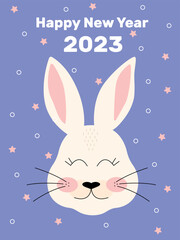 Chinese New Year 2023, year of the rabbit. (Chinese translation: Happy Chinese New Year 2023 Year of the Rabbit). Zodiac sign. Cute bunny toy.