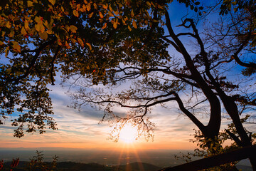 Sonnenuntergang im Schwarzwald