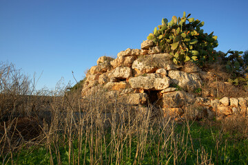 Talayot de Sa Talaya.Llucmajor. talaiótico (Edad de bronce)..Mallorca.Baleares.España. © Tolo