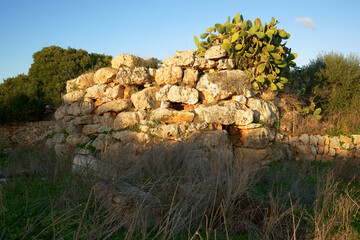 Talayot de Sa Talaya.Llucmajor. talaiótico (Edad de bronce)..Mallorca.Baleares.España. © Tolo
