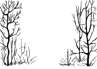Trees and bushes with bare branches in black on a white background