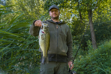 Bass fishing. Bass fish in hands of pleased fisherman with tackle. Largemouth perch at pond