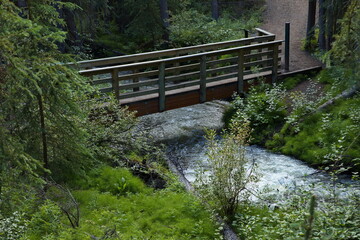 Fototapeta na wymiar Wooden footbridge over McIntyre Creek on Green Trail at Whitehorse,Yukon,Canada,North America 
