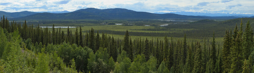 Landscape in Tetlin National Wildlife Refuge,Alaska,United States,North America
