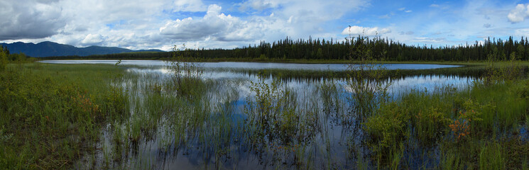 Panoramic view of Lisa Lake in Alaska, United States,North America
