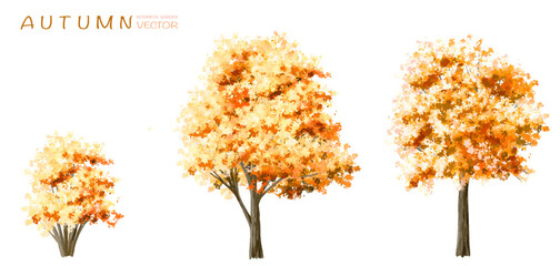 Vector watercolor blooming flower tree or forest side view isolated on white background for landscape and architecture drawing,elements for environment or and garden,botanical for section in autumn 