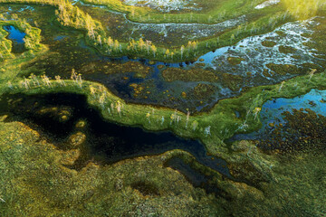 Obraz premium An aerial of summery aapa bog in Hossa region, Northern Finland