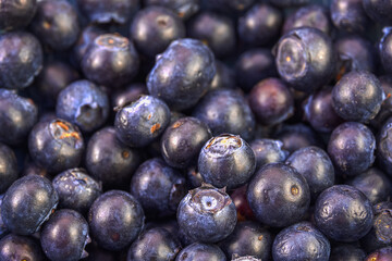 Selective focus, closeup of fresh blueberries, full frame