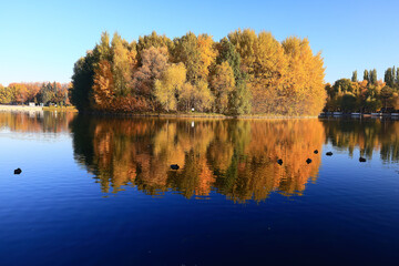 fall park view decoration, wallpaper autumn yellow season