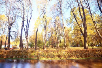 Fototapeta na wymiar fall park view decoration, wallpaper autumn yellow season