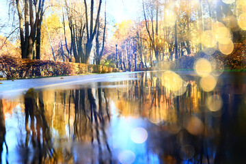 Obraz premium fall park view decoration, wallpaper autumn yellow season