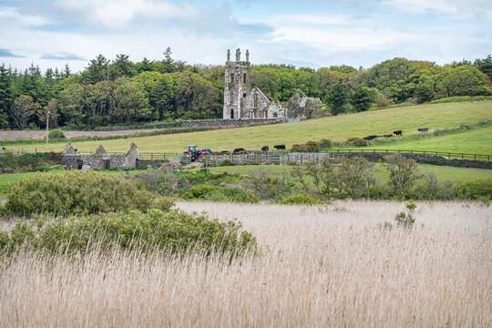 The ruins of Rathbarry Church, Castlefreke, County Cork, Ireland