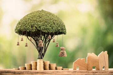 The money and the tree with growing put on the stack gold coin and home modal put on the wood in the public park, Loan or saving money for buy a house and real estate concept. - obrazy, fototapety, plakaty