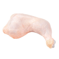 fresh raw chicken leg