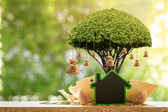 The money bag and the tree with growing and home blackboard put on the broken piggy bank put on the gold coin in the public park, Loan or saving money for buy a house and real estate concept.