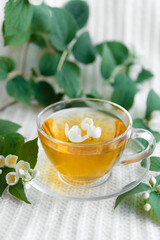 Jasmine herbal tea on a light pastel background. copy space	
