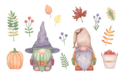 Watercolor set with gnomes and autumn plants. Isolated on white elements of the fall theme.