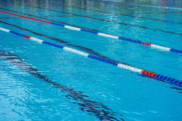 Lanes of a competition swimming pool. Empty swimming pool with lanes