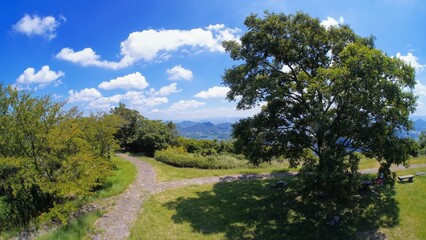 Fototapeta na wymiar 坂出・城山（きやま）山頂からの展望4