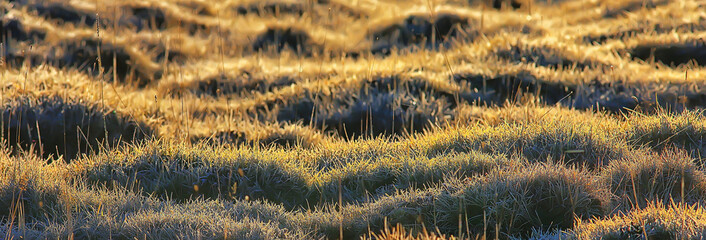 abstract background design texture template wallpaper