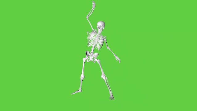 Skeleton is dancing, isolated on a green screen. 3D animation for Halloween.