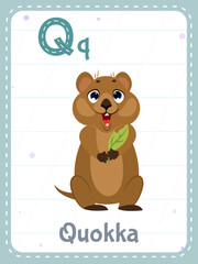 Alphabet printable flashcard with letter Q. Cartoon cute quokka animal and english word on flash card for children education. School memory card for kindergarten kids flat vector illustration.