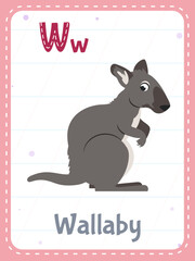 Obraz premium Alphabet printable flashcard with letter W. Cartoon cute wallaby animal and english word on flash card for children education. School memory card for kindergarten kids flat vector illustration.