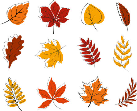 Colorful autumn leaves, outline and paint, in cartoon style