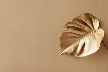 Golden leaf monstera fashion floral minimal concept. Stylish natural background for design and...