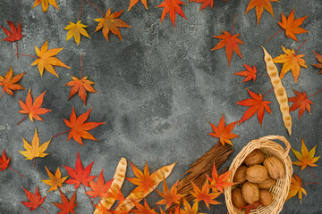 Frame concept made of fall maple maple leaves, walnuts on dark background. Autumnal season. Flat lay