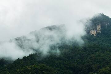 High mountain with Fog