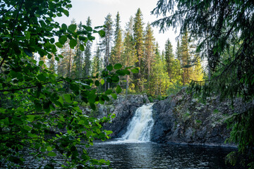 Fototapeta na wymiar Beautiful Komulanköngäs waterfall on a summer evening. Shot near Hyrynsalmi, Northern Finland. 