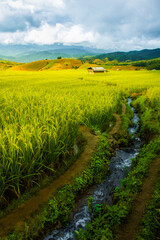 Hut and Shack in the rice field ,Pa Pong Pieng , Mae Chaem, Chiang Mai, Thailand