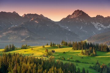 View of the Tatra Mountains, meadows, pastures, from Gliczarów Górny. Spring, Poland. Widok na...